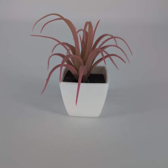 Mini Fake Faux Artificial Pink Succulent Potted Plant in Plastic White Pot - GUC - Picture 4 of 11